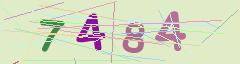 CAPTCHA validation image